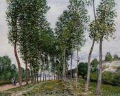 阿尔弗莱德 西斯莱 : Lane of Poplars on the Banks of the Loing